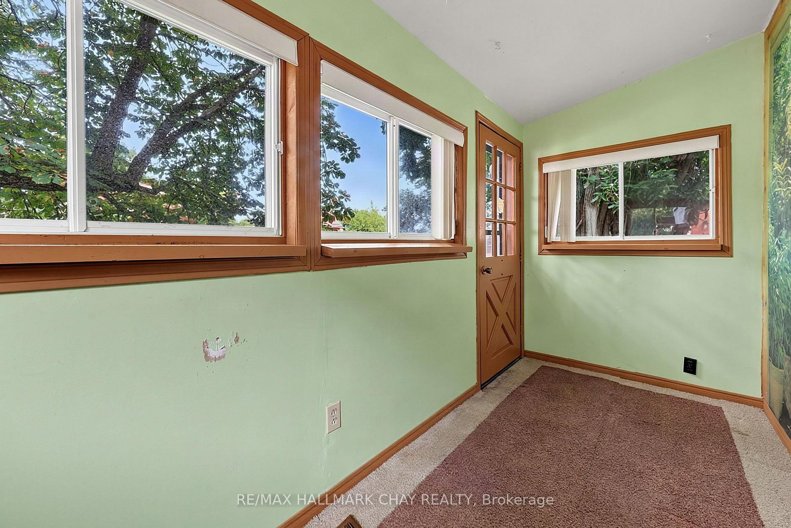 41 Mill Street E • New Tecumseth, ON photo 18