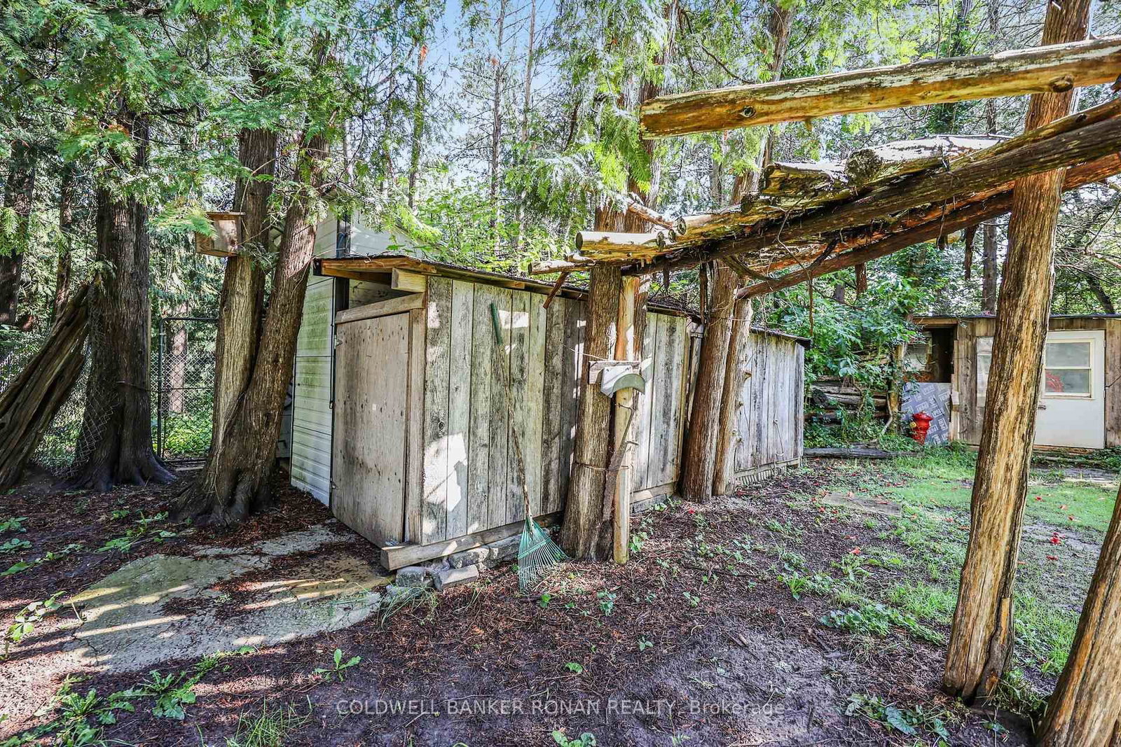 7602 25th Sideroad • Adjala-Tosorontio, ON photo 27