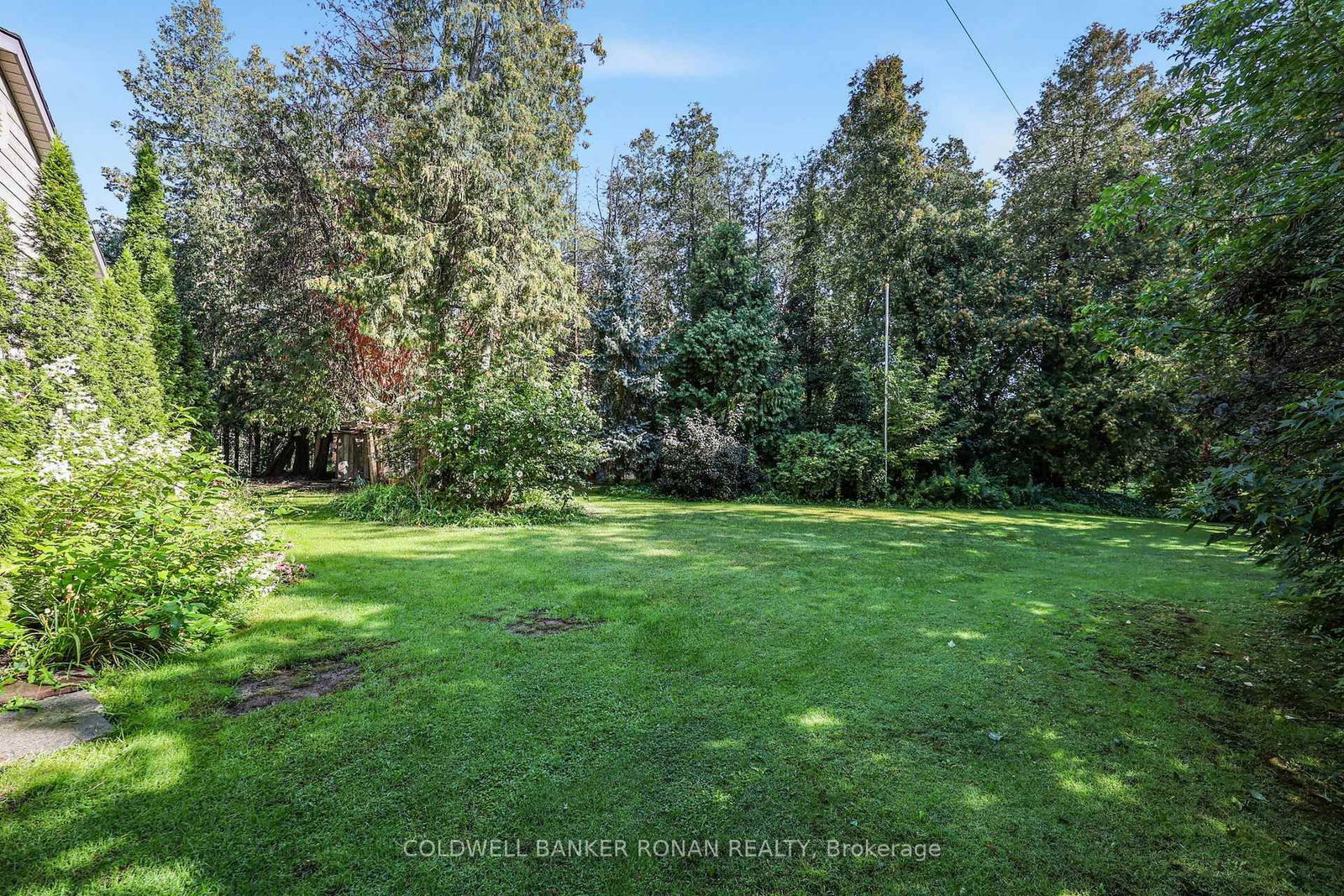 7602 25th Sideroad • Adjala-Tosorontio, ON photo 29