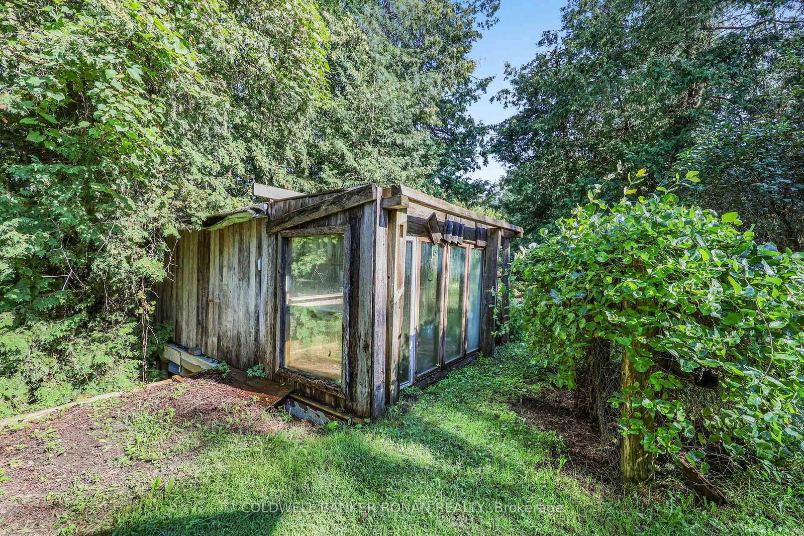 7602 25th Sideroad • Adjala-Tosorontio, ON photo 36