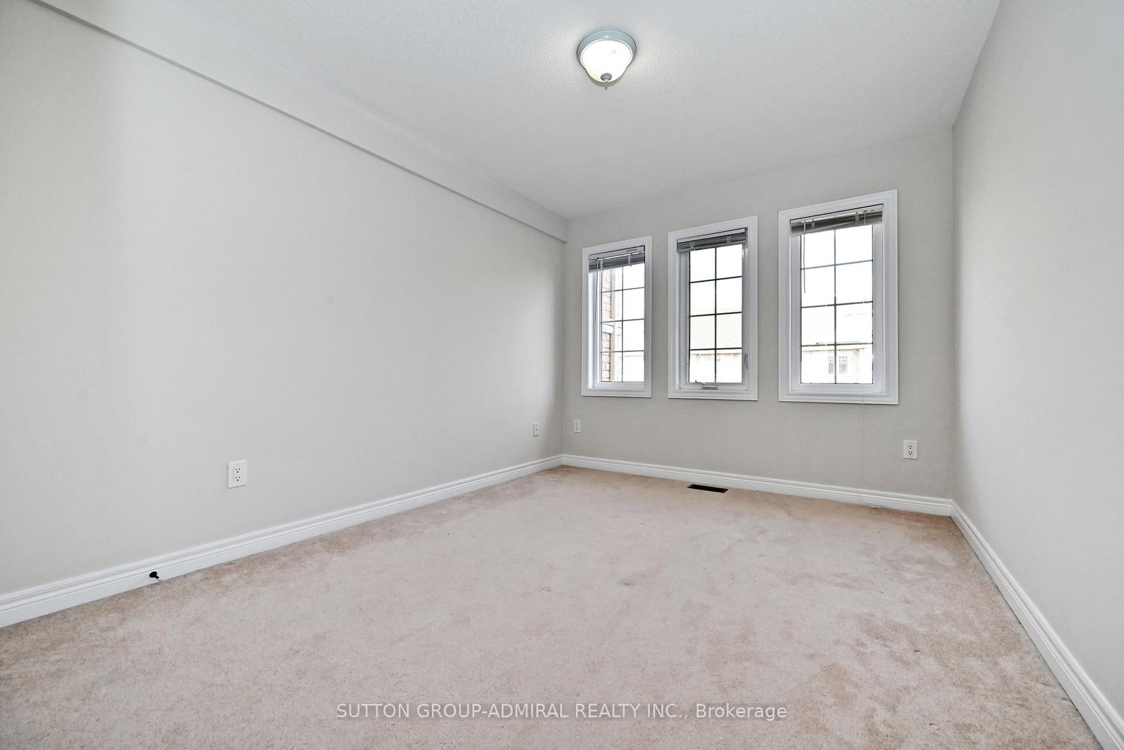 110 Southdown Avenue • Vaughan, ON photo 35