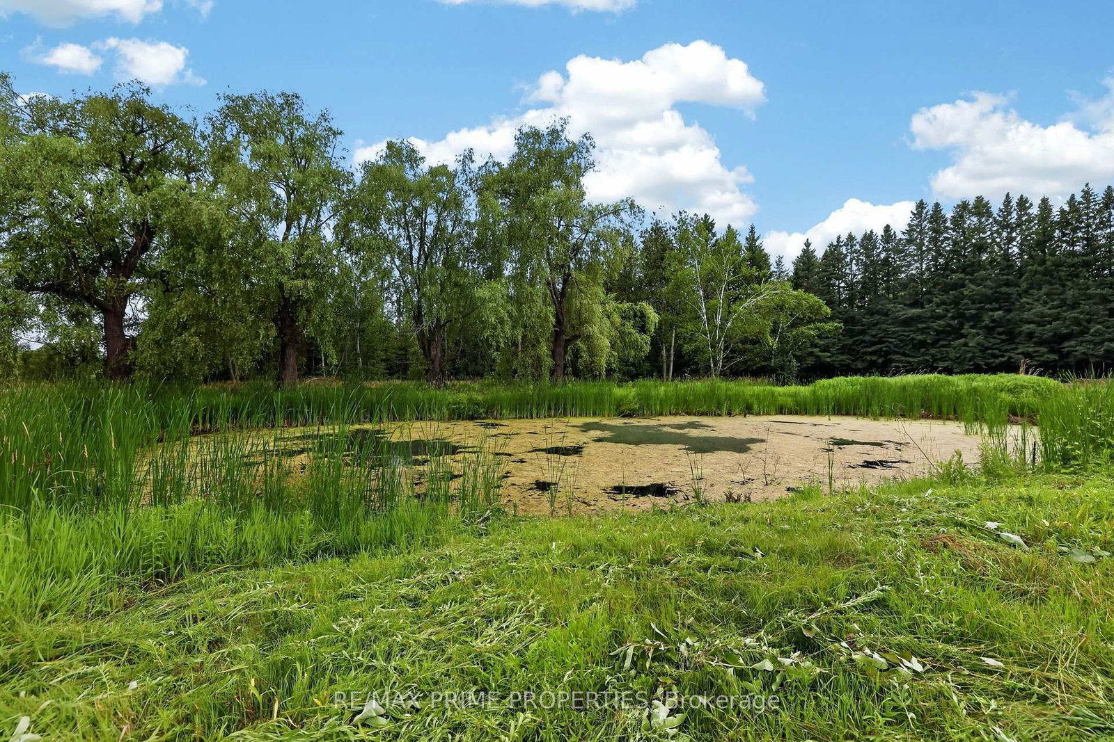 8538 Old Shiloh Road • Georgina, ON photo 42