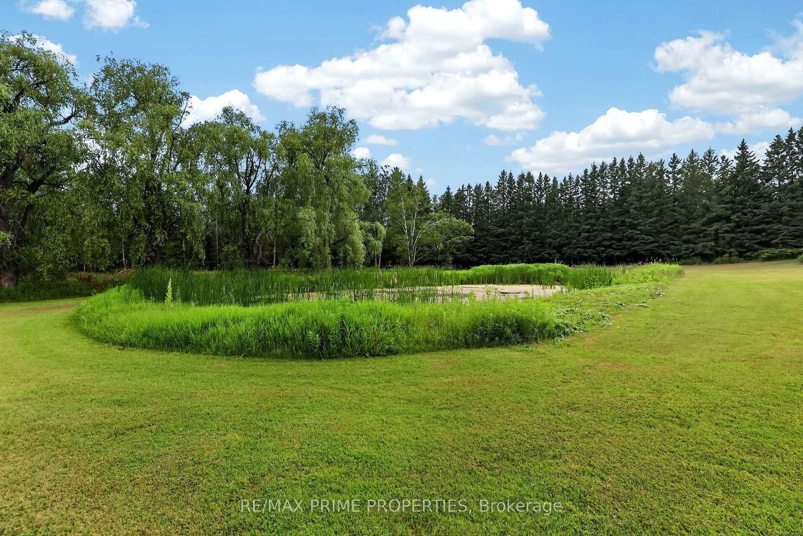 8538 Old Shiloh Road • Georgina, ON photo 43