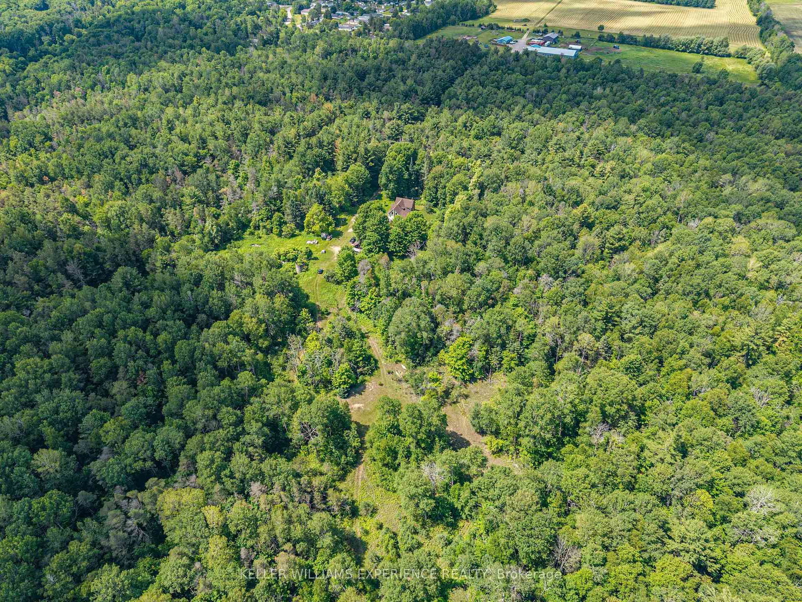 8137 4th Line • Essa, ON photo 18