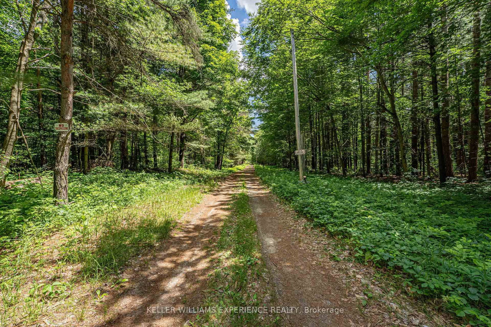 8137 4th Line • Essa, ON photo 6