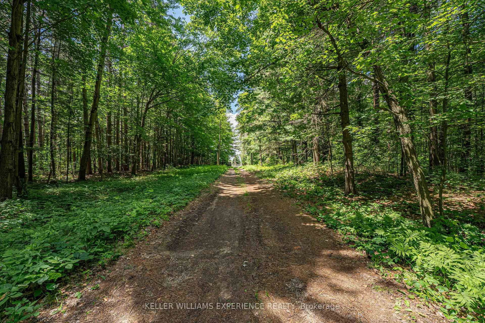 8137 4th Line • Essa, ON photo 7