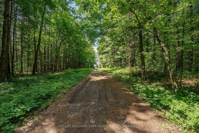 8137 4th Line • Essa, ON photo 7