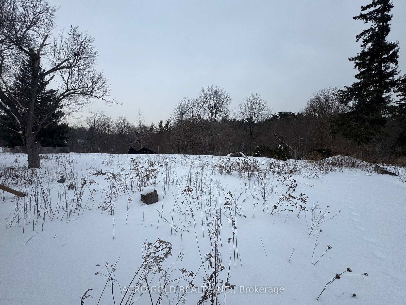 8519 Islington Avenue • Vaughan, ON photo 6