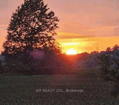2544 Tottenham Road • New Tecumseth, ON photo 9