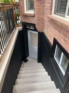 Basement - 146 Chelwood Dr Drive N