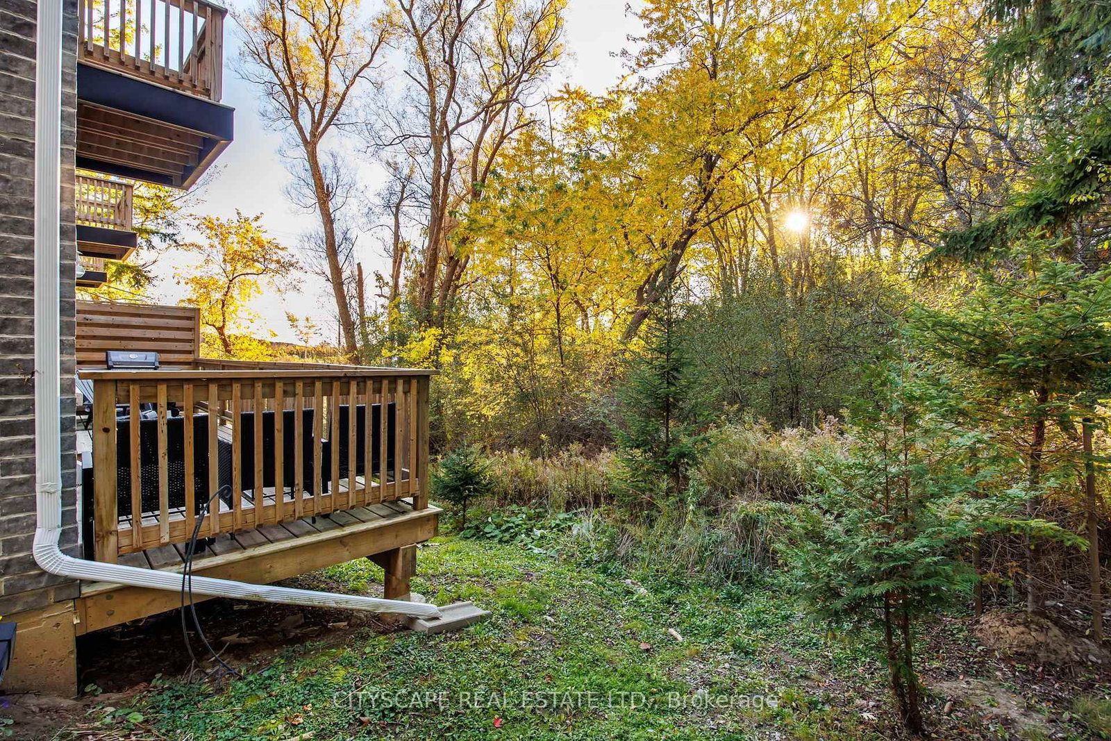74 Old Bloomington Road • Aurora, ON photo 41