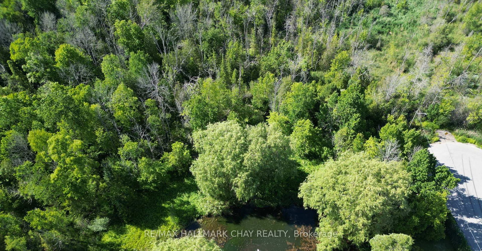2252 Spring Street • Innisfil, ON photo 3