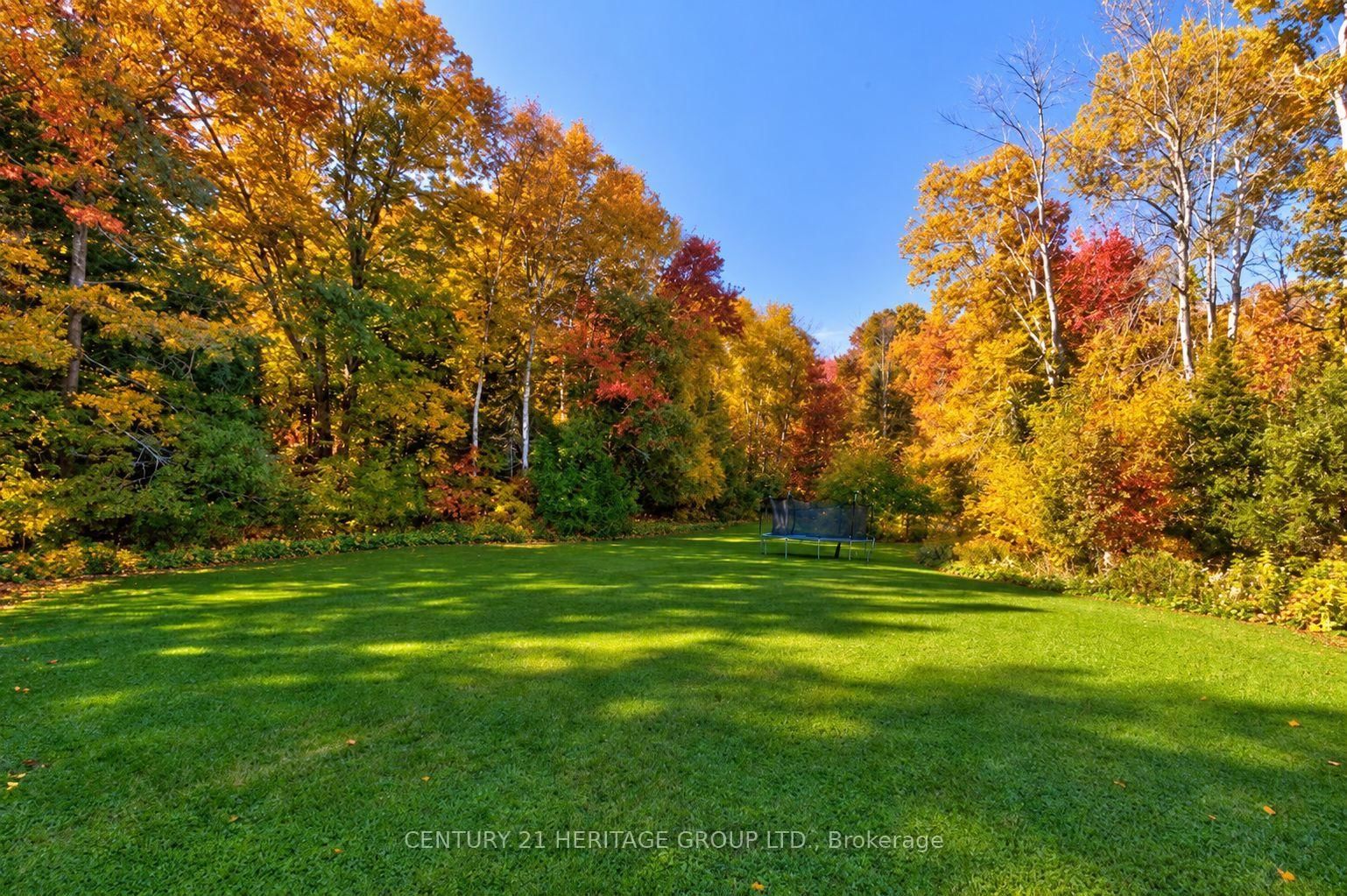 167 Brule Trail • King, ON photo 31