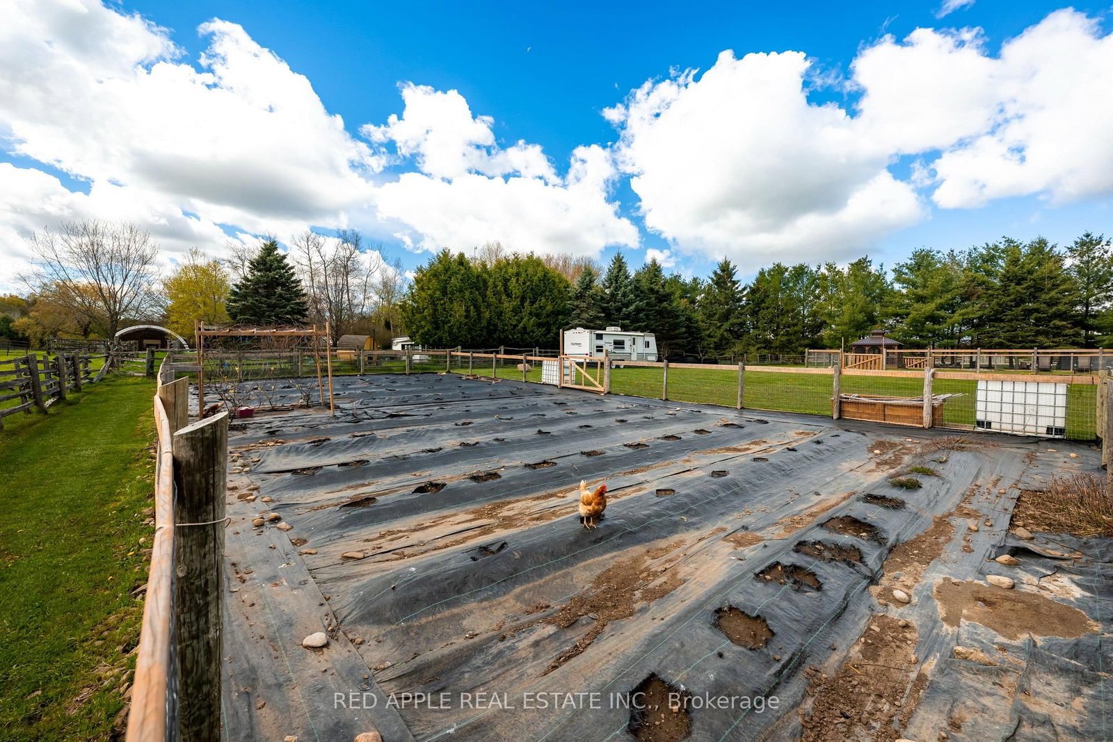 996609 Mulmur-Tosorontio Townline • Adjala-Tosorontio, ON photo 7