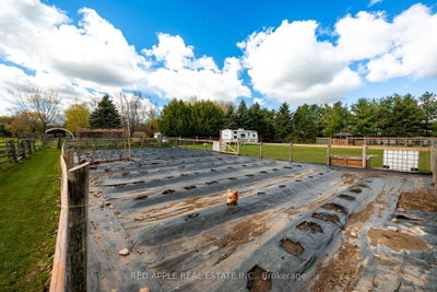 996609 Mulmur-Tosorontio Townline • Adjala-Tosorontio, ON photo 7
