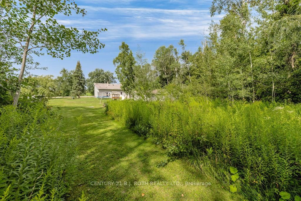 5265 5th Side Road • Essa, ON photo 46