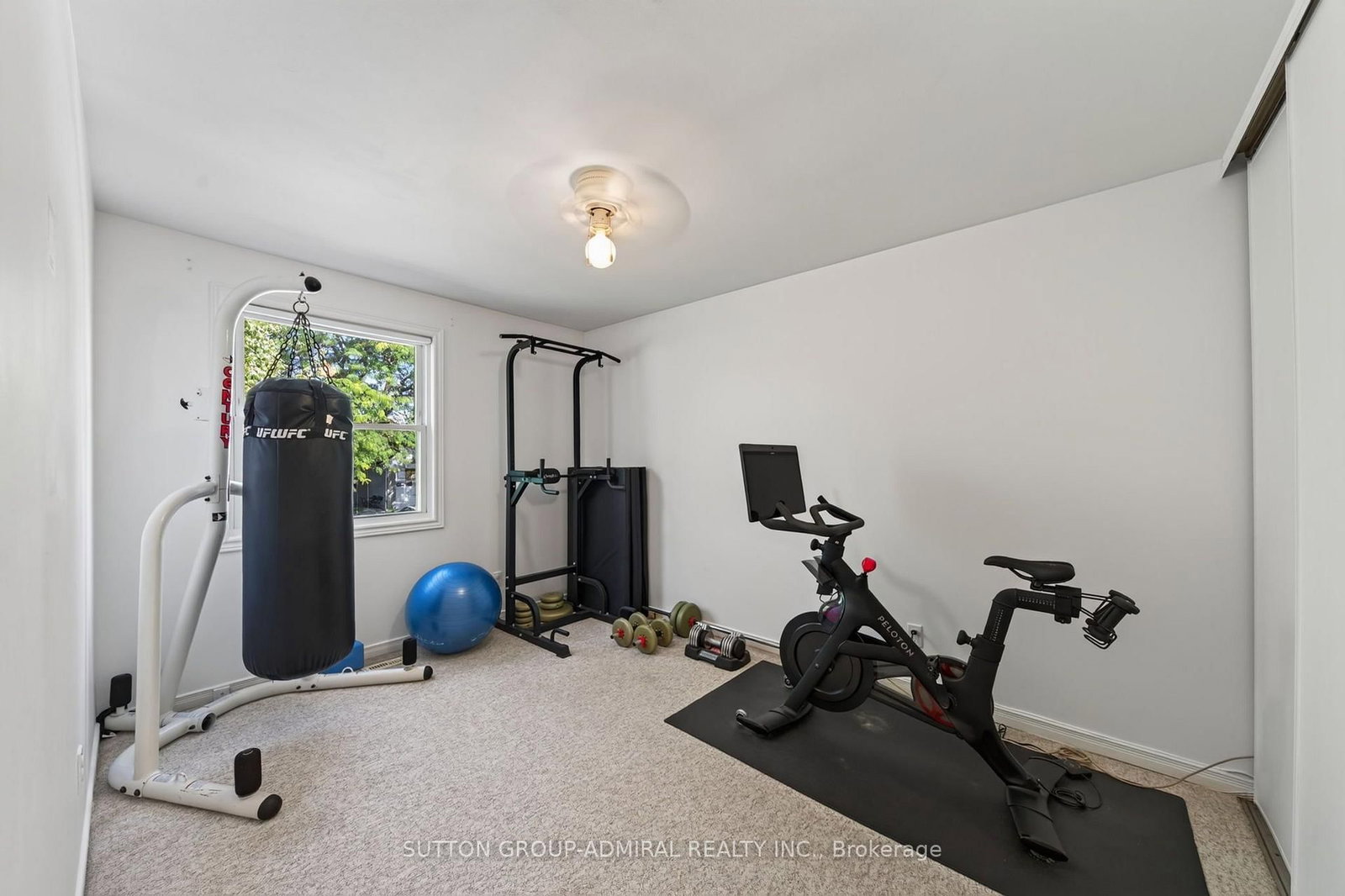 770 Pam Crescent • Newmarket, ON photo 29
