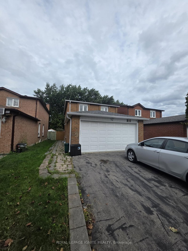 Bsmt - 66 Ashmore Crescent