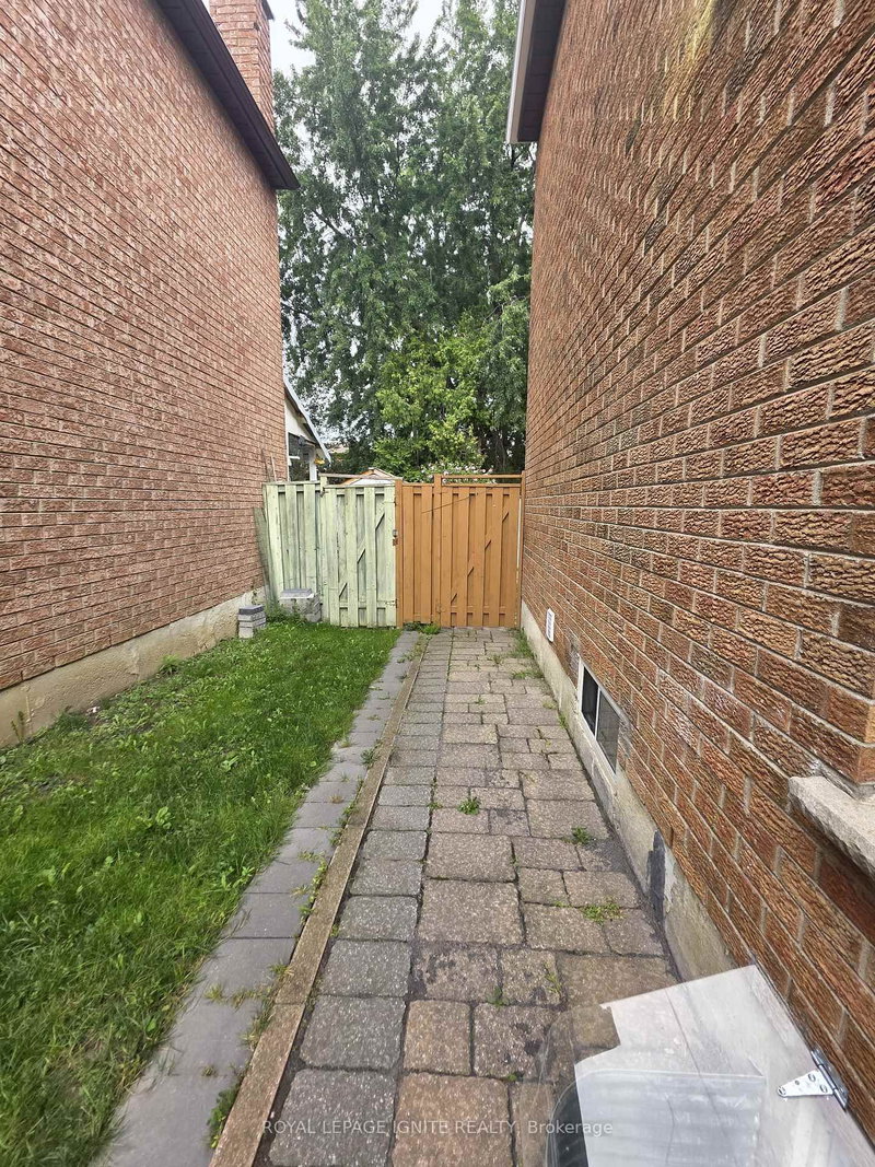 Bsmt - 66 Ashmore Crescent