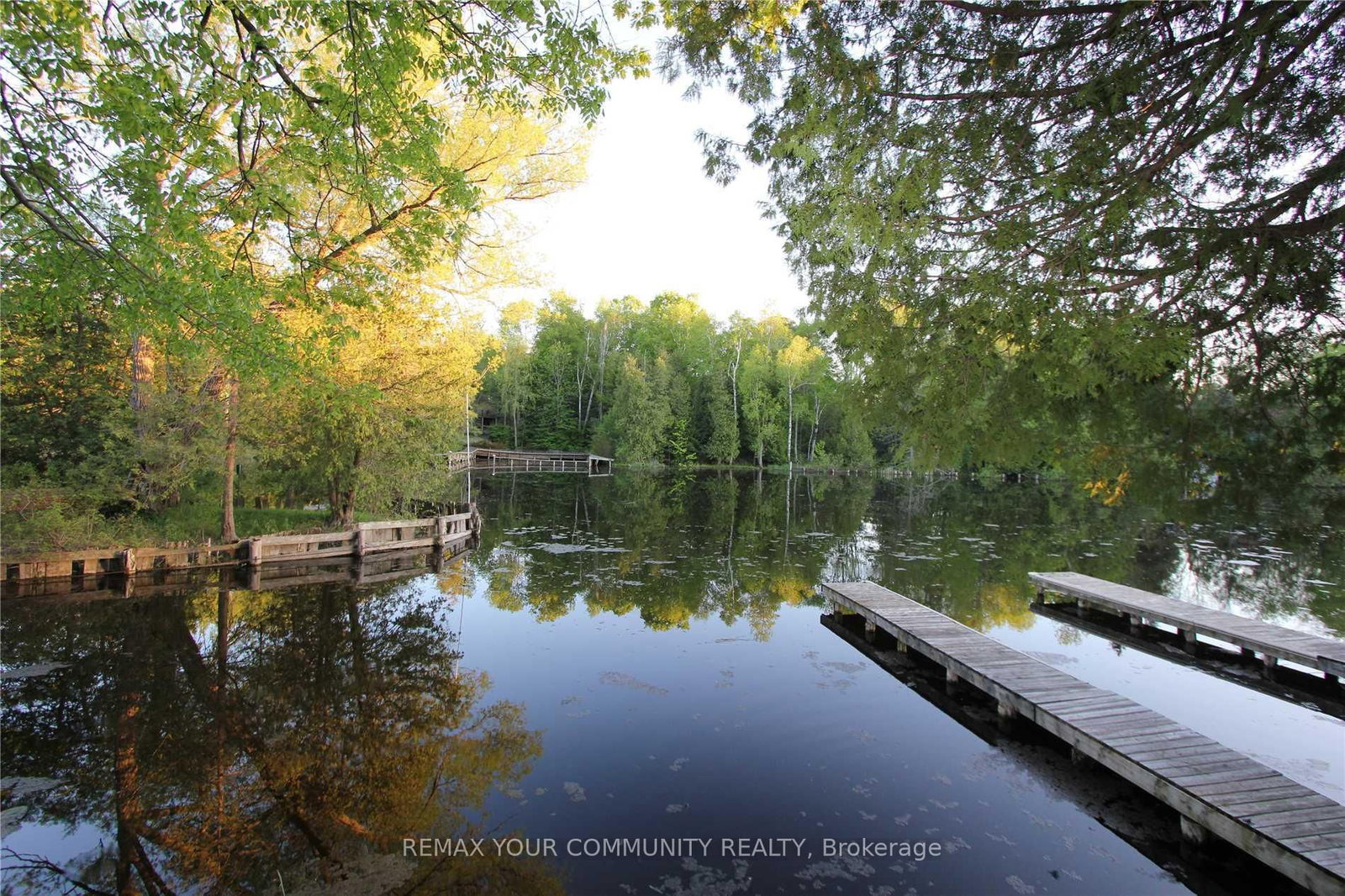 184 Riverbank Drive • Georgina, ON photo 19