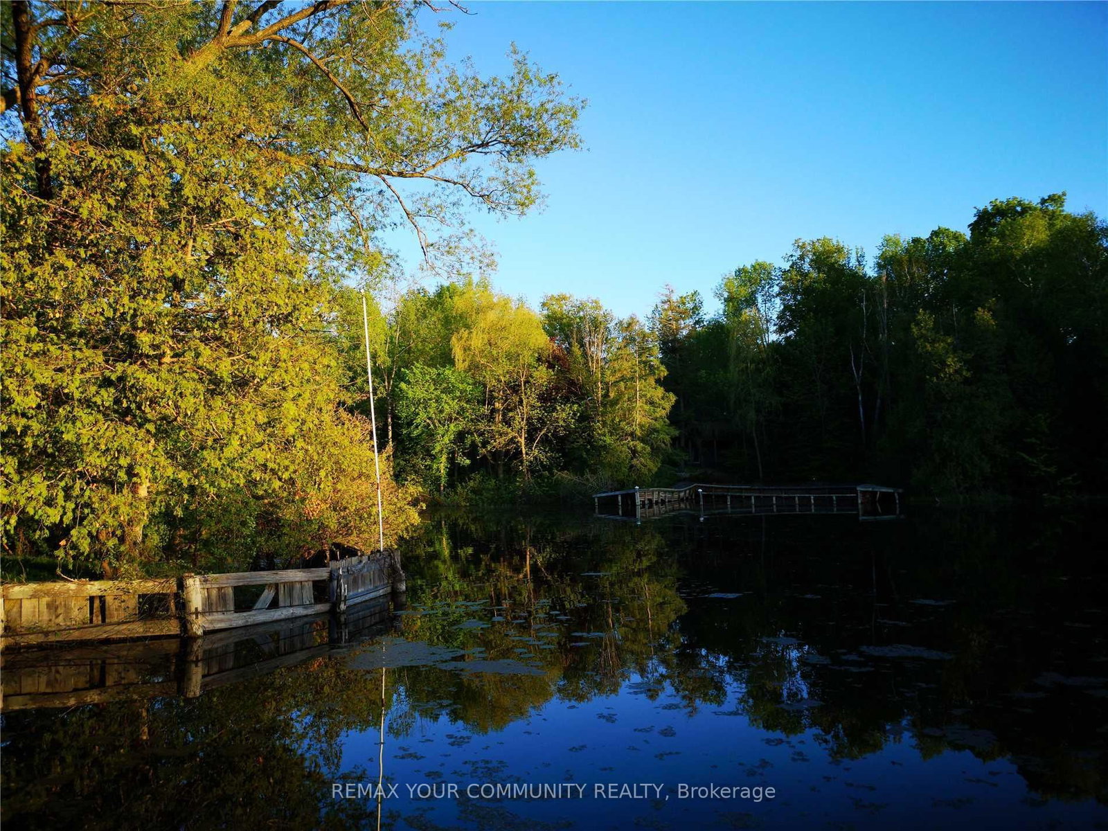 184 Riverbank Drive • Georgina, ON photo 21