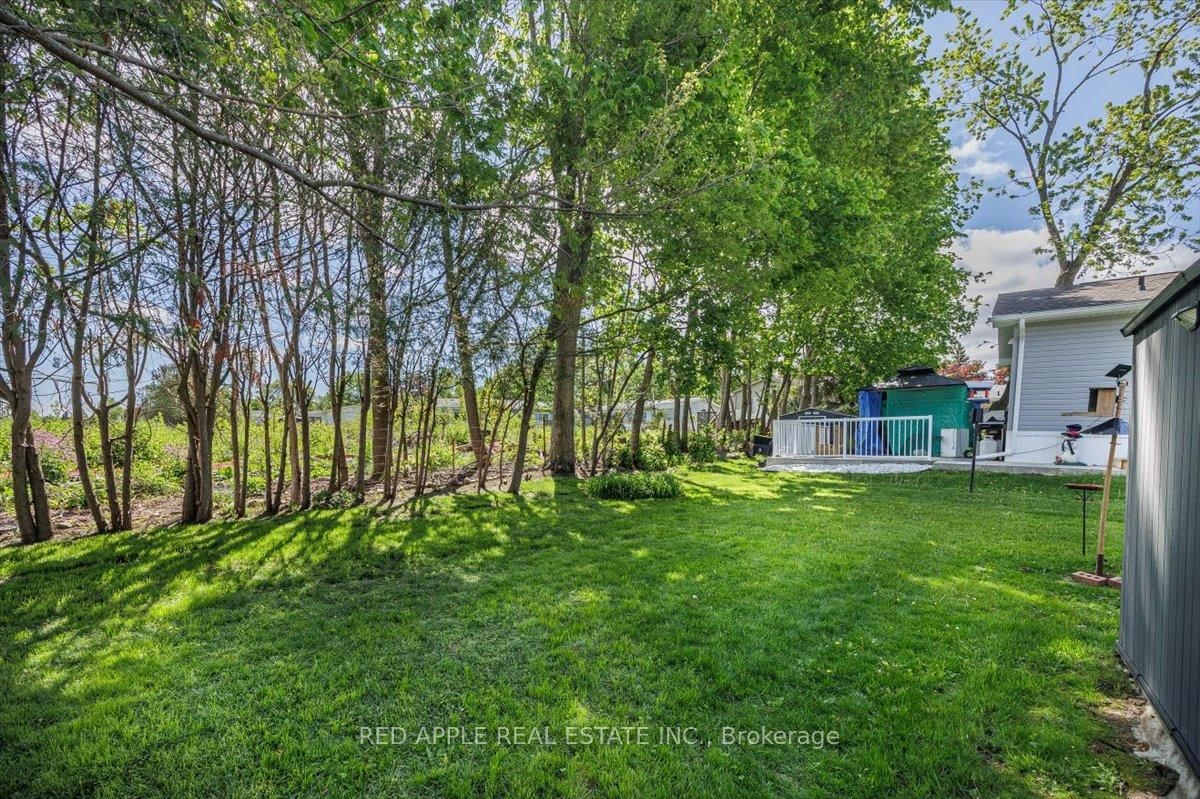 30 Flora Court • Innisfil, ON photo 33