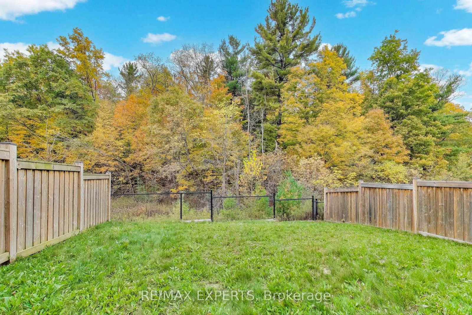 216 Butternut Ridge Trail • Aurora, ON photo 48
