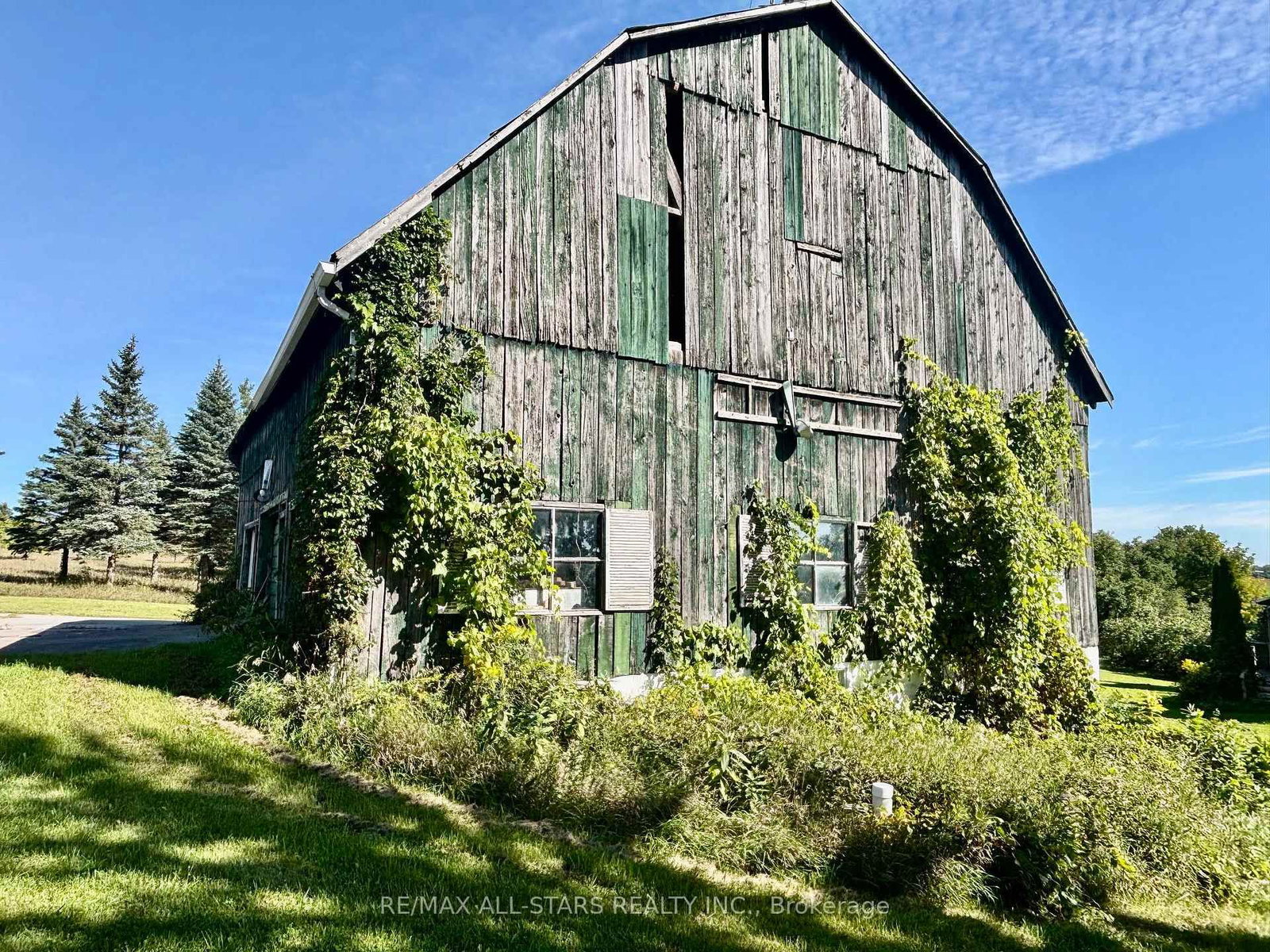14200 Sideroad 18 • Brock, ON photo 10