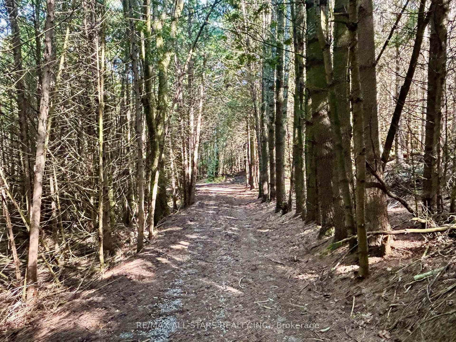 14200 Sideroad 18 • Brock, ON photo 19