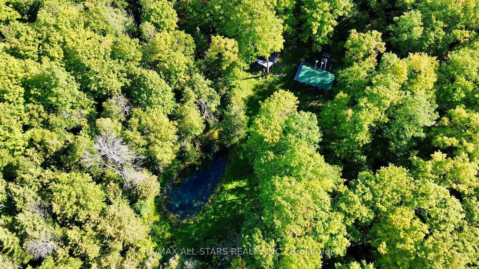 14200 Sideroad 18 • Brock, ON photo 20