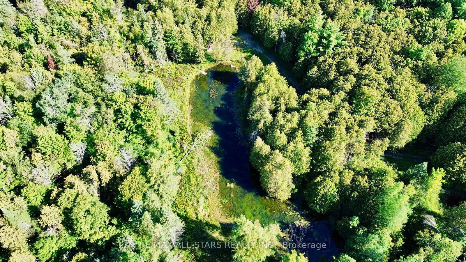 14200 Sideroad 18 • Brock, ON photo 21