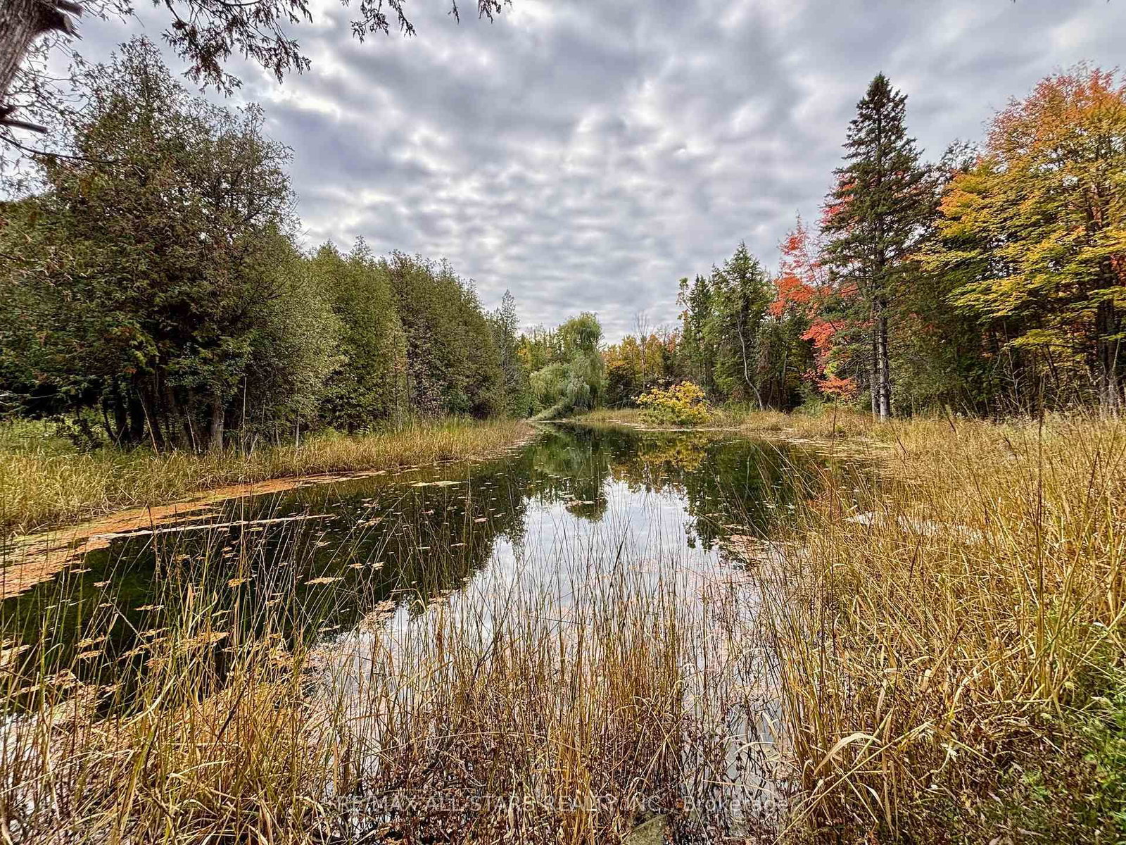 14200 Sideroad 18 • Brock, ON photo 22
