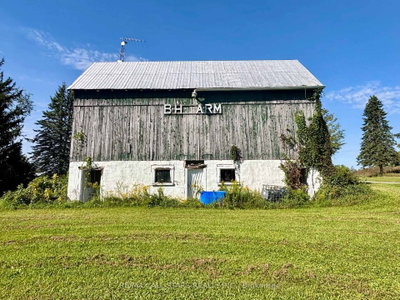 14200 Sideroad 18 • Brock, ON photo 6