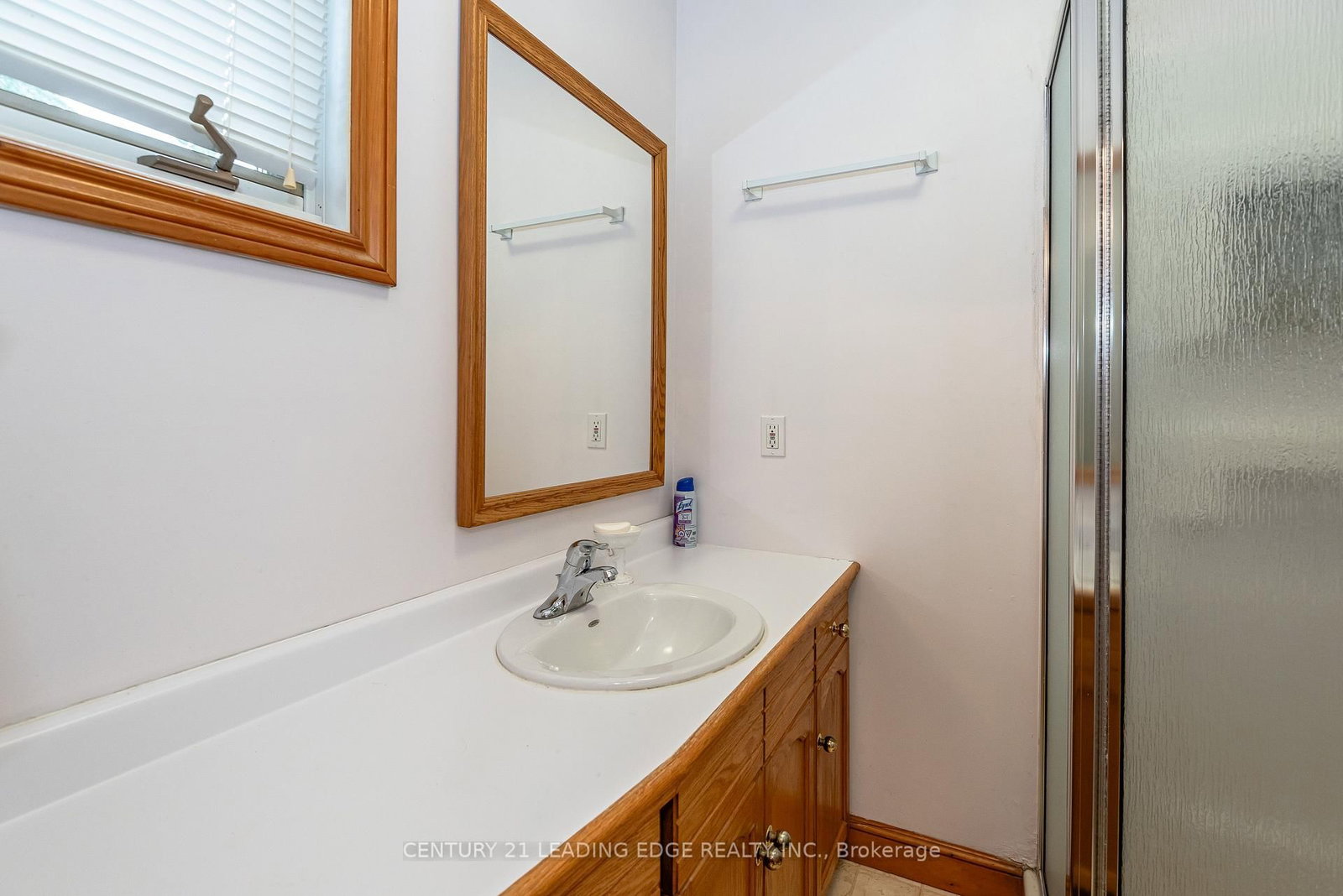 62 North Street • Georgina, ON photo 13
