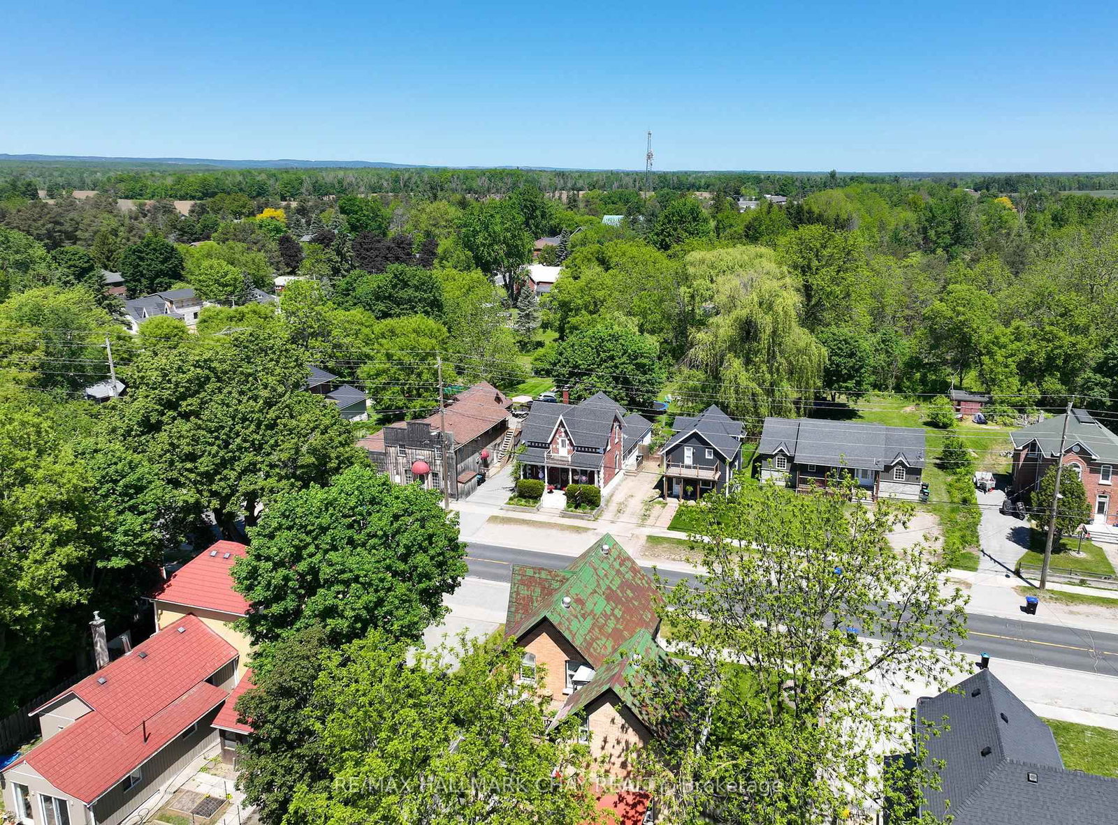 8116 Main Street • Adjala-Tosorontio, ON photo 35