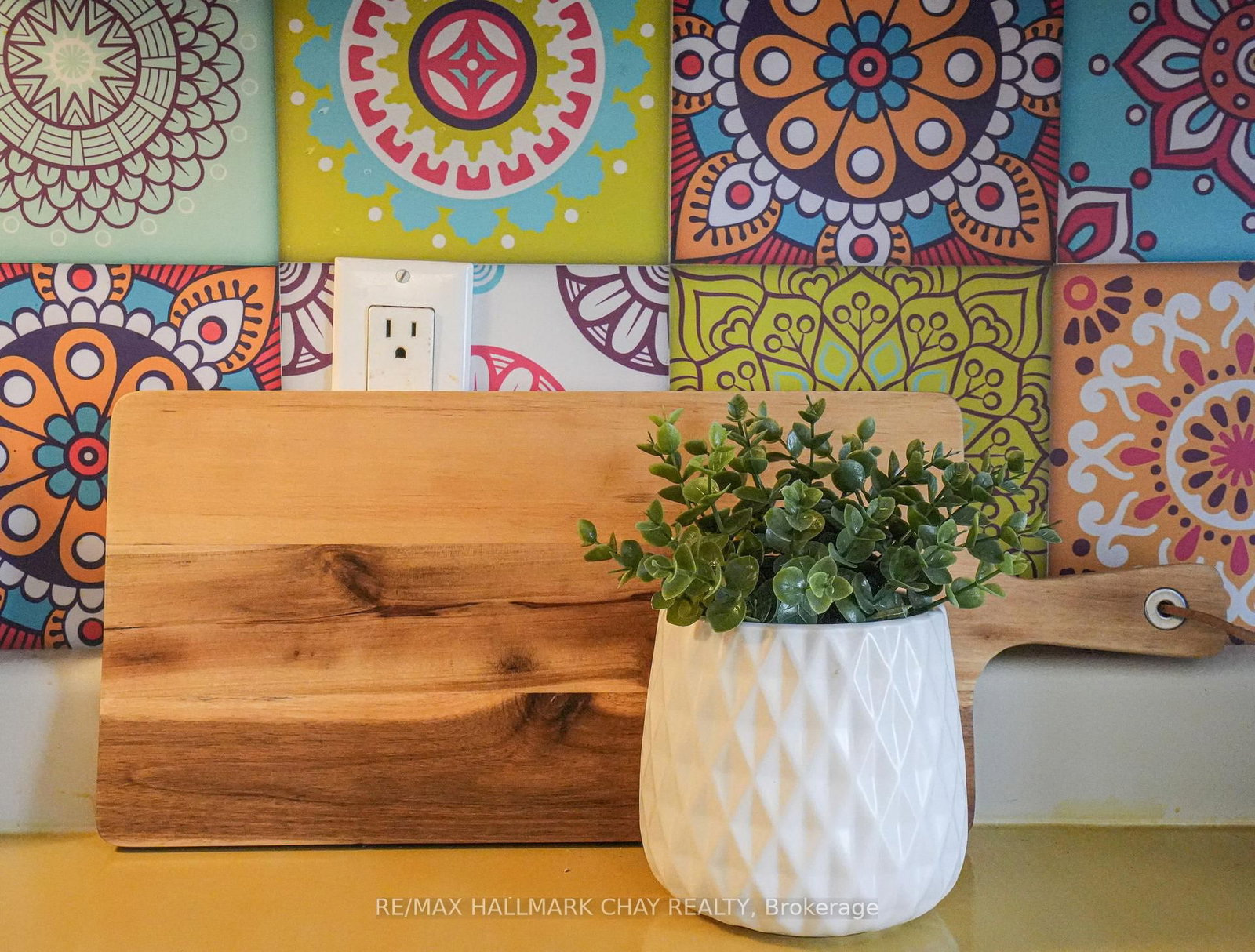 8116 Main Street • Adjala-Tosorontio, ON photo 6