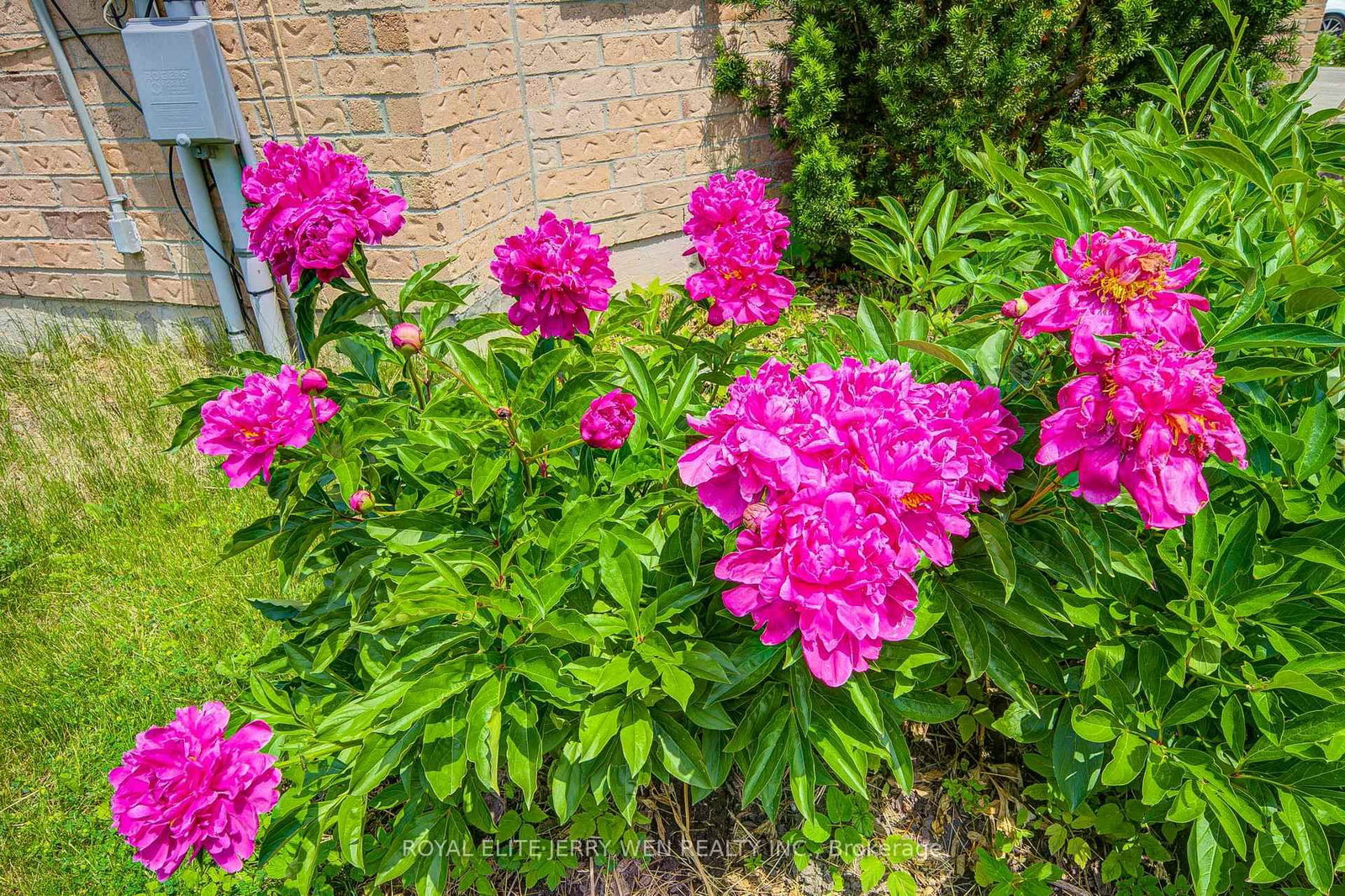 70 Bronte Road • Markham, ON photo 40