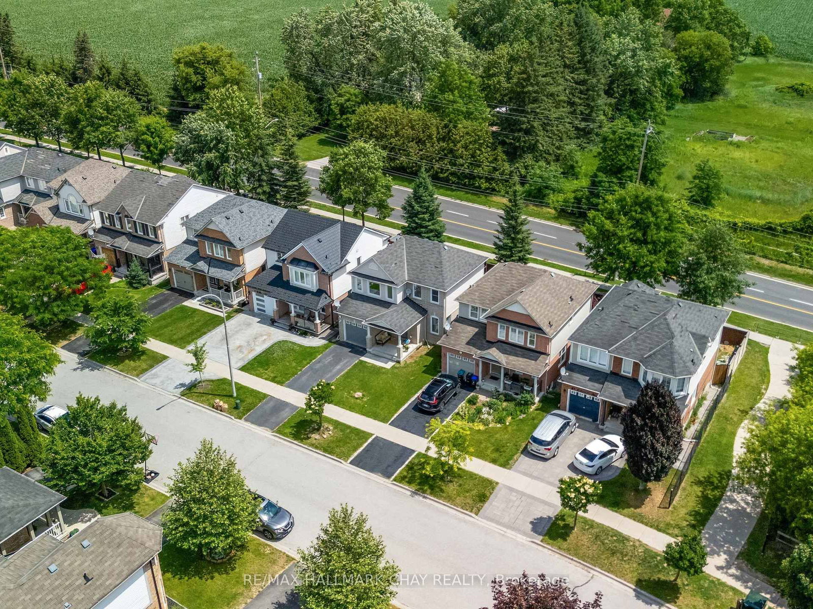 19 Callander Crescent • New Tecumseth, ON photo 5