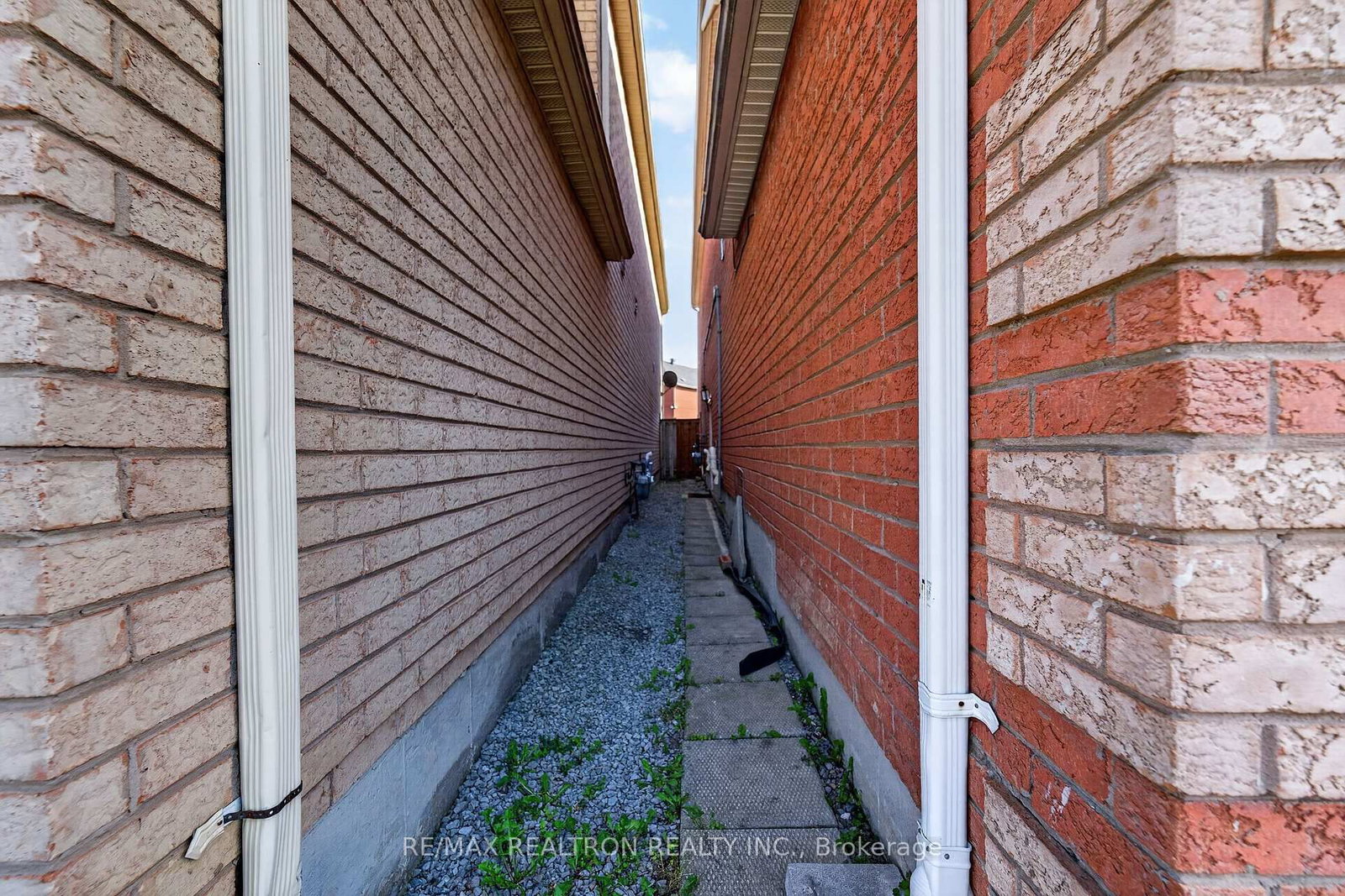 Basement - 29 Connery Crescent, Markham 4