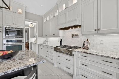 80 Elm Grove Avenue • Richmond Hill, ON photo 9