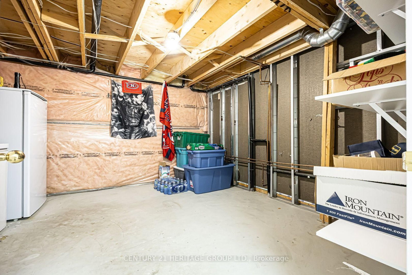 397 Renzius Court • Newmarket, ON photo 38