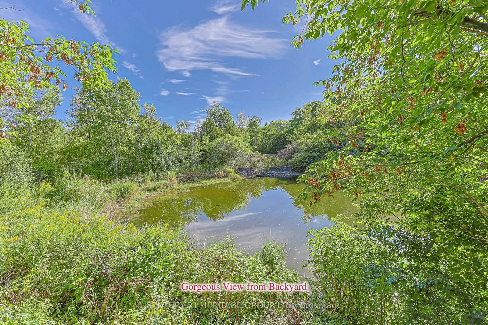 397 Renzius Court • Newmarket, ON photo 44