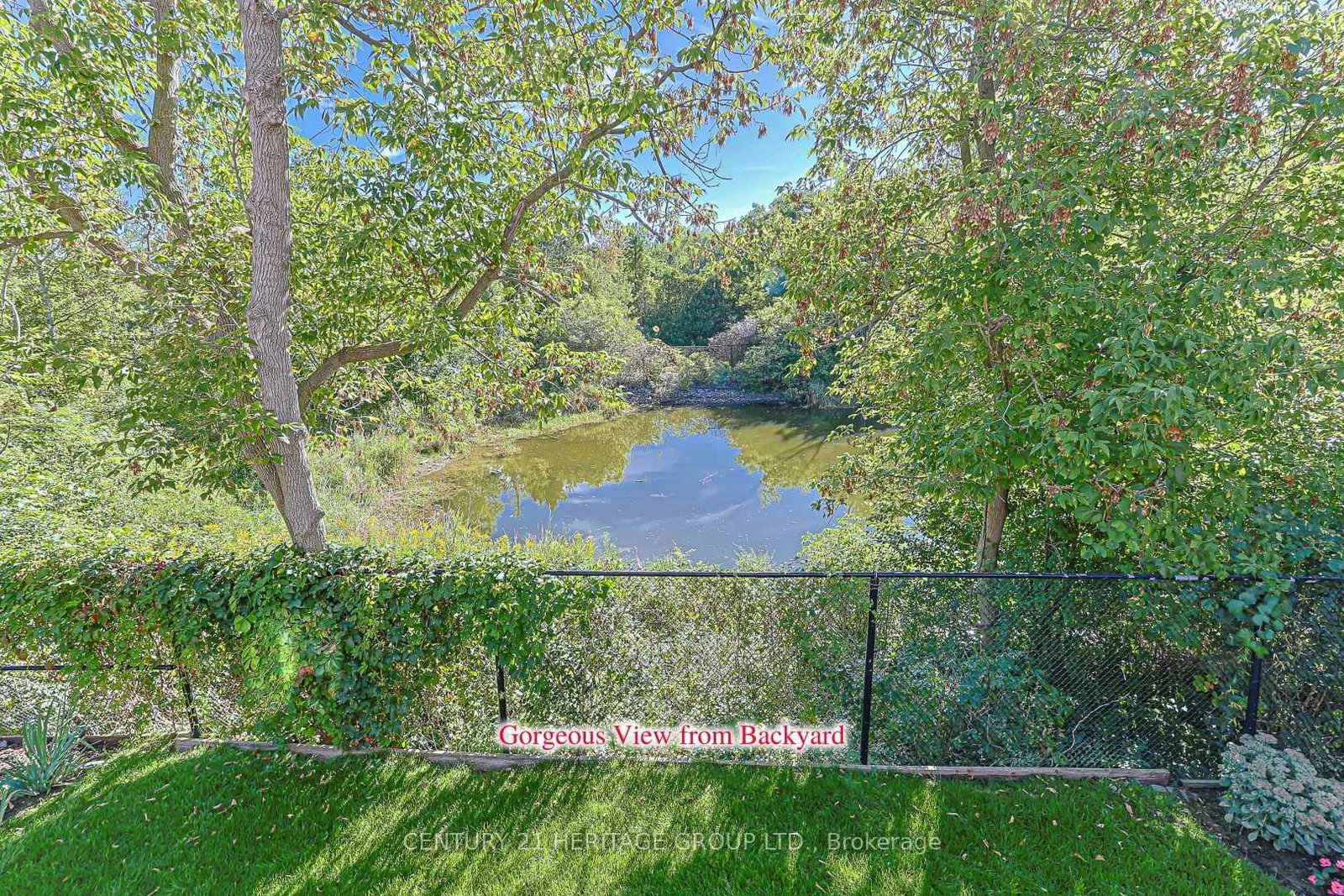 397 Renzius Court • Newmarket, ON photo 48
