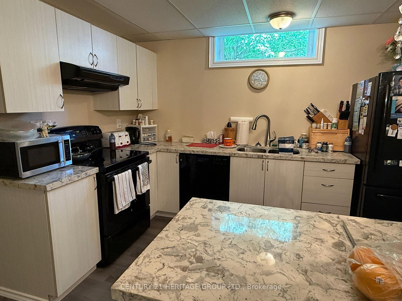 49 Shore Crescent • Georgina, ON photo 27