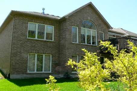 932 Shadrach Dr, Newmarket, L3X2H4 | Image 2