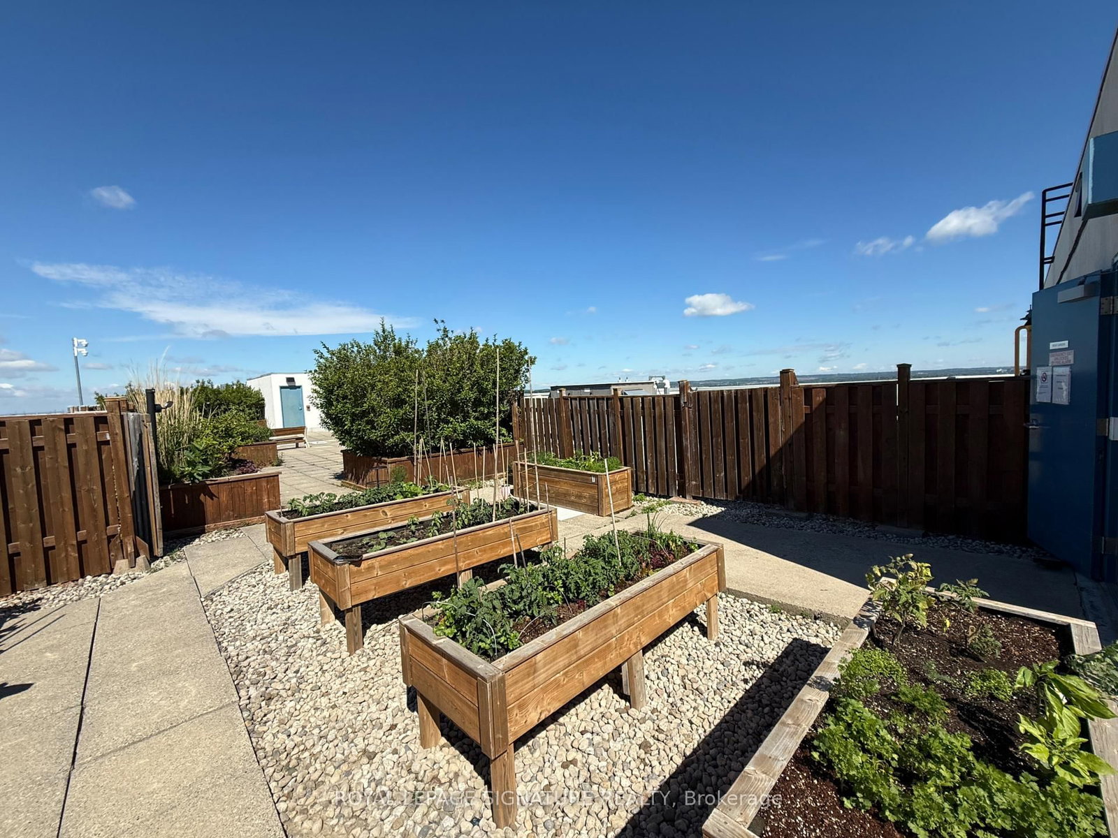 1 Clark Avenue W • #1802 • Vaughan, ON photo 29