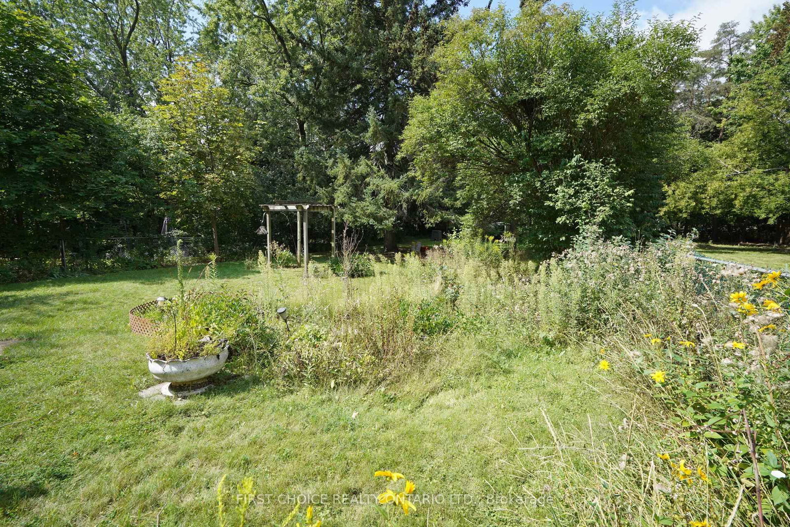 172 Colborne Avenue • Richmond Hill, ON photo 11