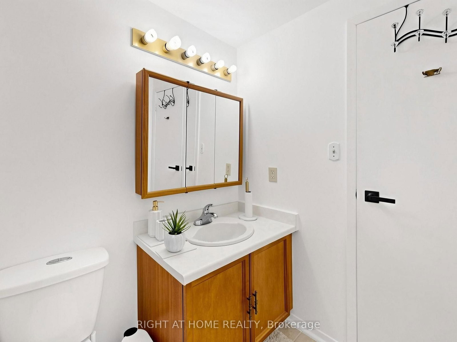 131 Castle Rock Drive • Richmond Hill, ON photo 33
