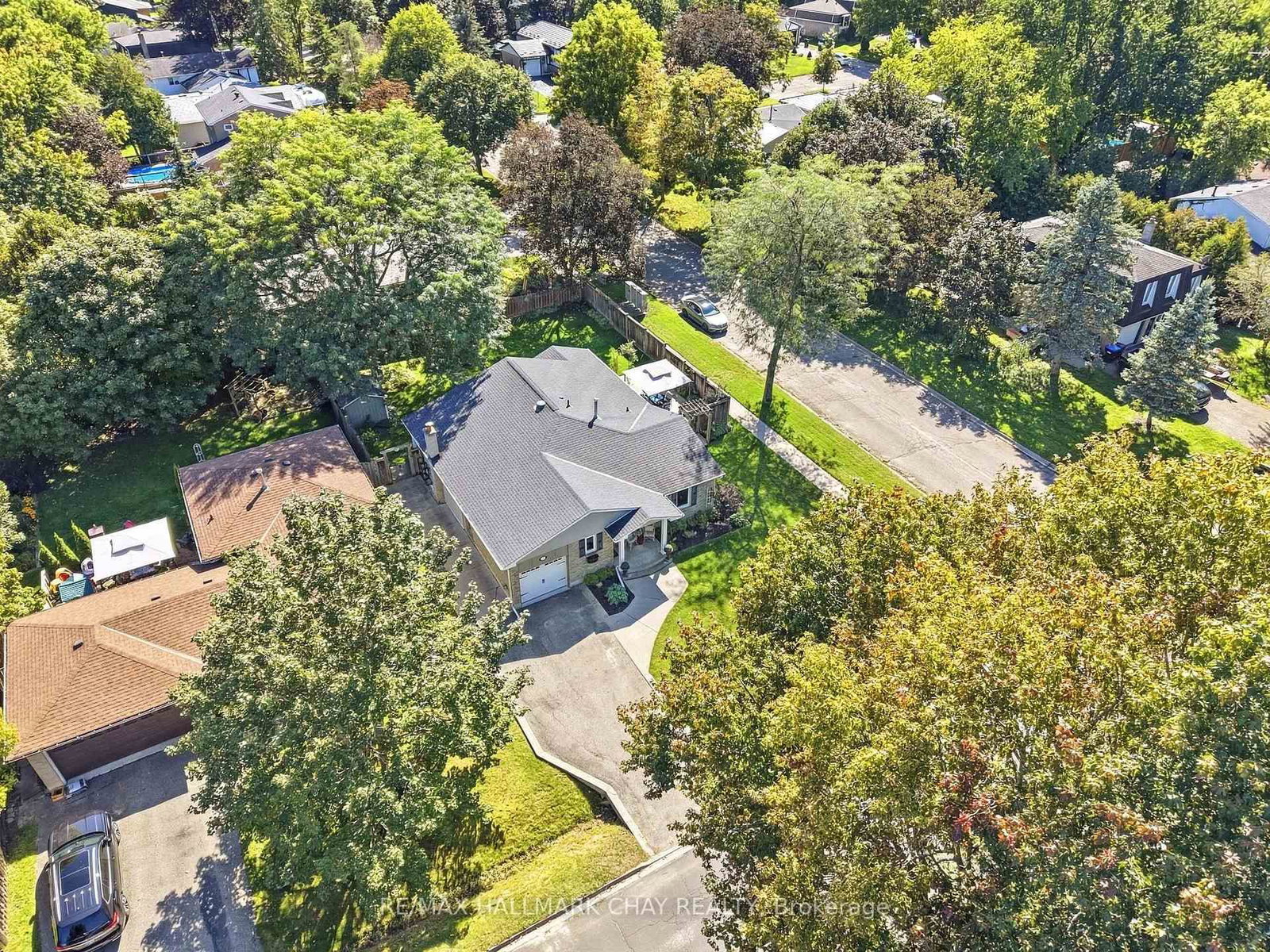 17 Stewart Street W • New Tecumseth, ON photo 48