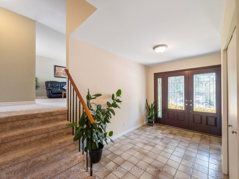 9 Birch Court
